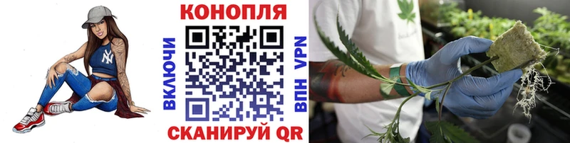 Где продают наркотики Трубчевск MDMA  ГАШИШ  COCAIN  Alpha-PVP 