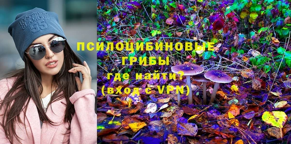 мескалин Алексин