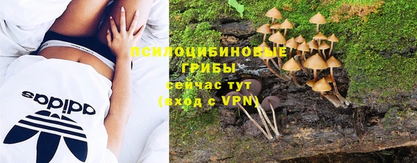 MESCALINE Абаза