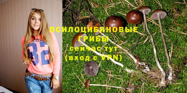 гидра Абдулино