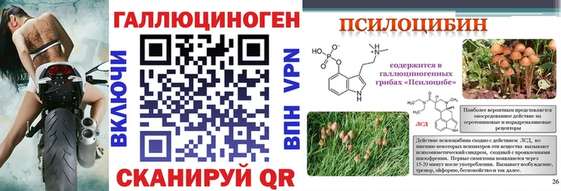 Псилоцибиновые грибы Psilocybine cubensis  Трубчевск 
